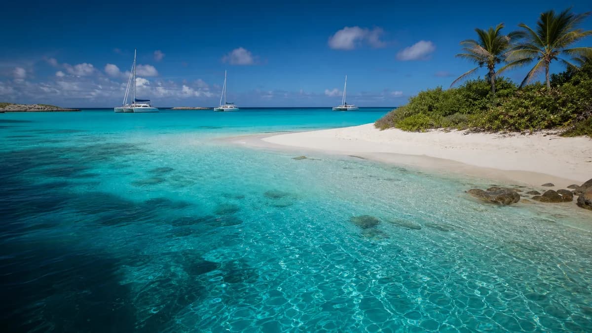 Coastal Reverie charter catamaran